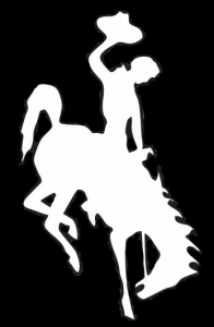 bucking horse right-white on black